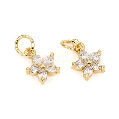 Brass Micro Pave Cubic Zirconia Charms X-ZIRC-L096-10G-1