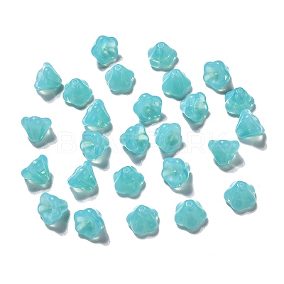 Translucent Czech Glass Beads GLAA-G070-05D-09-1