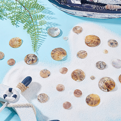 100Pcs 5 Styles Natural Akoya Shell Charms SHEL-HY0001-19-1
