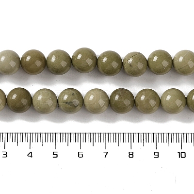 Natural Alashan Agate Beads Strands G-P530-B05-04-1