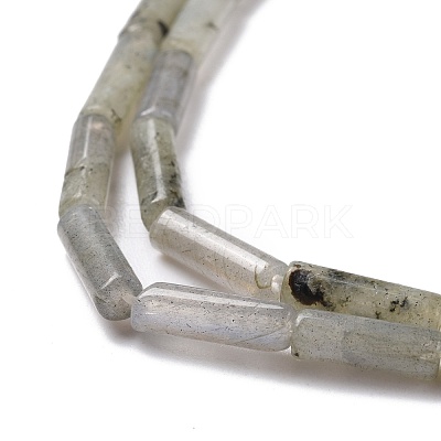 Natural Labradorite Beads Strands G-D464-08-1