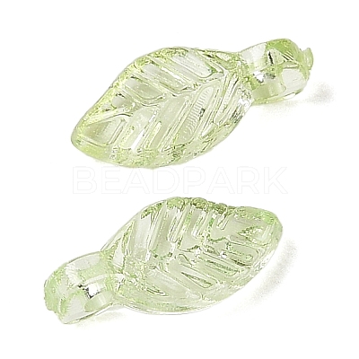 Transparent Acrylic Charms TACR-F009-11B-1