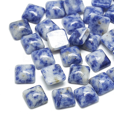 Natural Blue Spot Jasper Cabochons X-G-T026-10x10-15-1