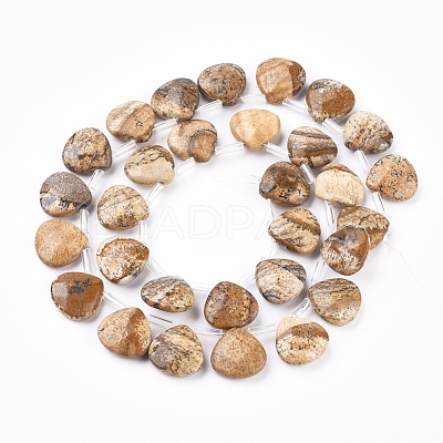Natural Picture Jasper Beads Strands G-G821-04A-1