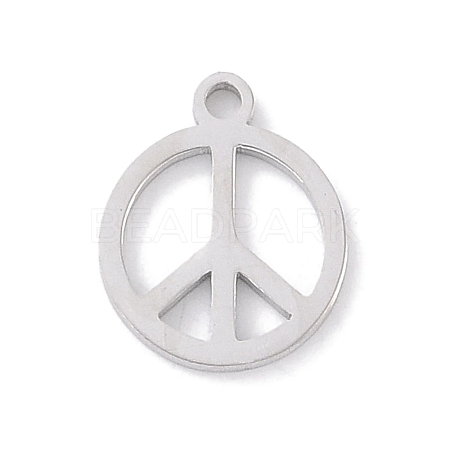 Non-Tarnish 304 Stainless Steel Charms STAS-K286-01B-P-1