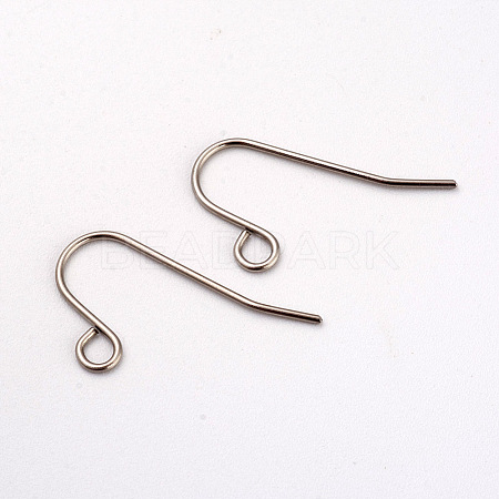 Tarnish Resistant 316L Surgical Stainless Steel Earring Hooks X-STAS-G229-08P-02-1