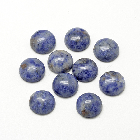 Natural Blue Spot Jasper Cabochons G-R416-12mm-45-1