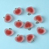 10Pcs Frosted Resin Pendants RESI-YW0004-45C-1