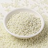 MIYUKI Round Rocailles Beads X-SEED-G008-RR2021-2