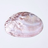 Natural Freshwater Pearl Shell Decoration SHEL-K002-01A-4