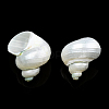 Natural Spiral Shell Beads SSHEL-N034-126-3