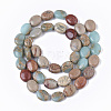 Natural Aqua Terra Jasper Beads Strands X-G-S366-015A-2
