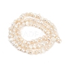 Natural Cultured Freshwater Pearl Beads Strands PEAR-P064-19D-06A-3