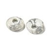 Natural Howlite Donut/Pi Disc Charms G-G142-02N-2