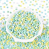 Opaque Acrylic Beads OACR-N150-05P-2