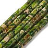 Natural Imperial Jasper Beads Strands G-Q169-A02-01E-1