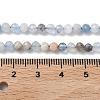 Natural Aquamarine Beads Strands X-G-L651-C09-4mm-5