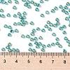 TOHO 8/0 Round Beads SEED-TR08-PF0569-4