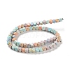 Natural Rainbow Alashan Agate Beads Strands G-NH0022-L01-01-3