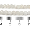 Natural White Moonstone Beads Strands G-D294-4mm-02-2