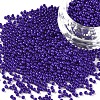 12/0 FGB Grade A Round Glass Seed Beads SEED-N001-A-1010-1