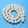 Round Shell Pearl Bead Strands BSHE-L011-12mm-A013A-3