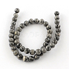 Natural Map Stone/Picasso Stone/Picasso Jasper Beads Strands G-S188-10mm-3