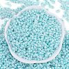 Opaque Colours Luster Glass Seed Beads X1-SEED-K010-04E-3