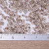 MIYUKI Delica Beads SEED-X0054-DB0064-4