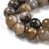 Natural Black Moonstone Beads Strands G-Q183-A01-01-4