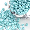 Baking Paint 8/0 Glass Seed Beads SEED-Q025-3mm-L10-1