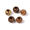 Natural Picture Jasper Beads G-Q602-08A-09-1