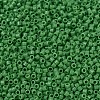MIYUKI Delica Beads X-SEED-J020-DB0724-3