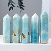 Point Tower Natural Amazonite Home Display Decoration PW-WG33943-01-2
