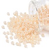 TOHO 6/0 Round Beads X-SEED-TR06-0147-1
