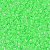 MIYUKI Delica Beads SEED-X0054-DB2040-3