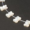 Natural White Shell Mother of Pearl Shell Beads BSHE-B005-06-3