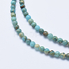 Natural Aqua Terra Jasper Beads Strands G-E444-14A-4mm-3