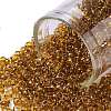 TOHO Round Seed Beads SEED-JPTR08-2156-1