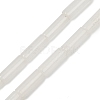 Natural Quartz Crystal Beads Strands G-G202-B04-01-2