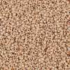 TOHO Round Seed Beads SEED-XTR11-0751-2