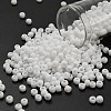 TOHO 6/0 Round Beads X-SEED-TR06-0041F-1
