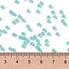 MIYUKI Round Rocailles Beads X-SEED-G008-RR0571-2
