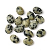 Natural Dalmatian Jasper Cabochons G-A094-01B-51-1