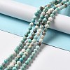 Natural Howlite Beads Strands X-G-L555-02B-02-4