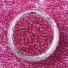 Glass Seed Beads X-SEED-S042-11A-02-2