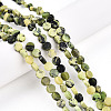 Natural Serpentine Beads Strands G-N346-06A-02-1