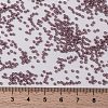 MIYUKI Round Rocailles Beads SEED-X0056-RR2034-4