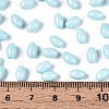Baking Paint Glass Seed Beads SEED-T007-15L-4