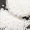 6/0 Glass Seed Beads X-SEED-J014-F6-41-1